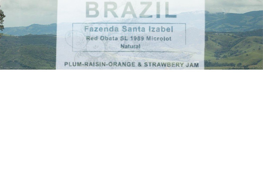santaizabel5
